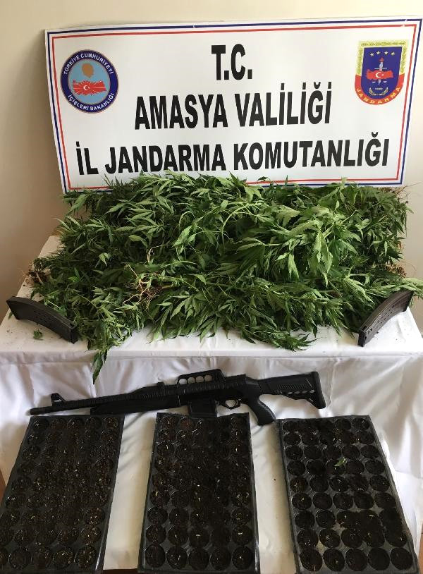 Amasya’da Uyuşturucu Operasyonu: 1 Tutuklama