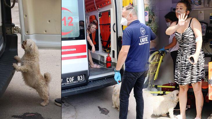 Ambulansta müdahale edilirken köpeği yanından ayrılmadı