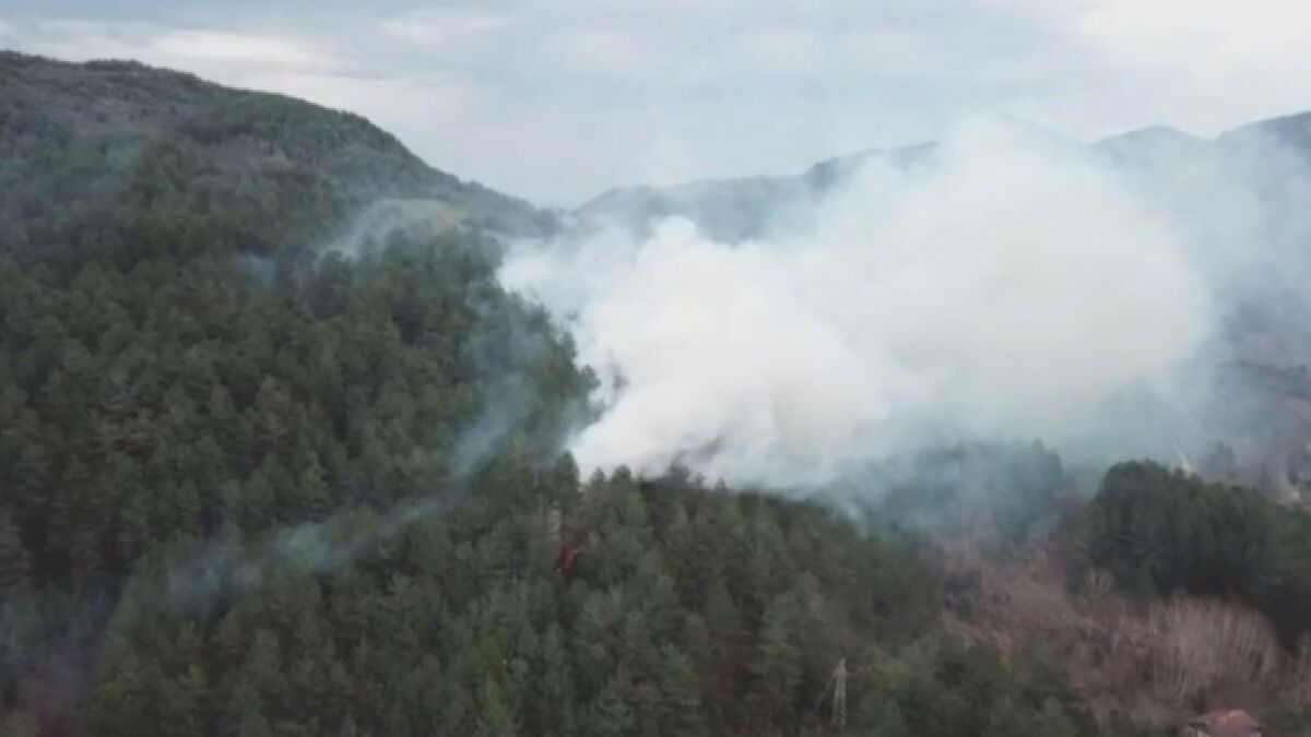 Kastamonu’da yol kenarına atılan sigara izmariti ormanlık alanda yangın çıkardı