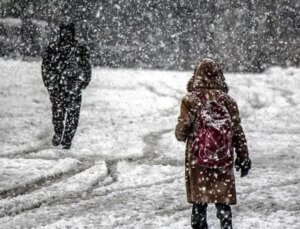 Rize okullar tatil mi (Çamlıhemşin)? SON DAKİKA 16 Aralık Pazartesi Rize’de okul yok mu (Rize Valiliği Açıklaması)?