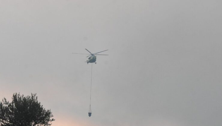 Aydın’daki orman yangınına havadan müdahale yine başladı